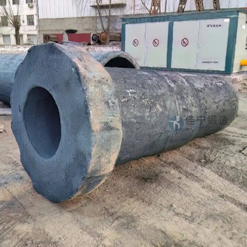 広西桂林某油圧設備工場軸鍛造品ケース